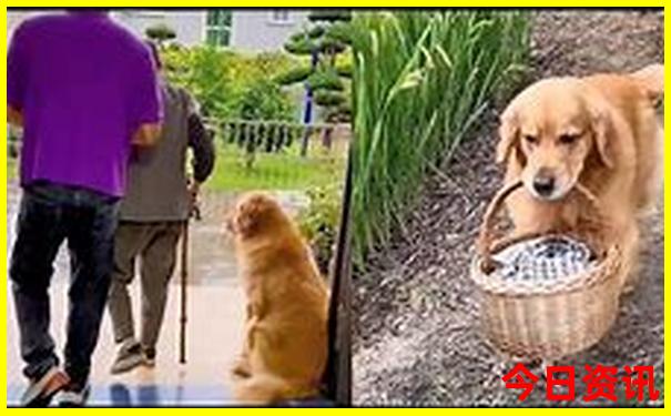 广西小众景点推荐